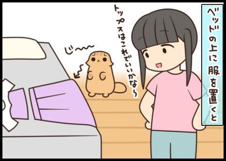 「もふもふスコたん」サムネイル
