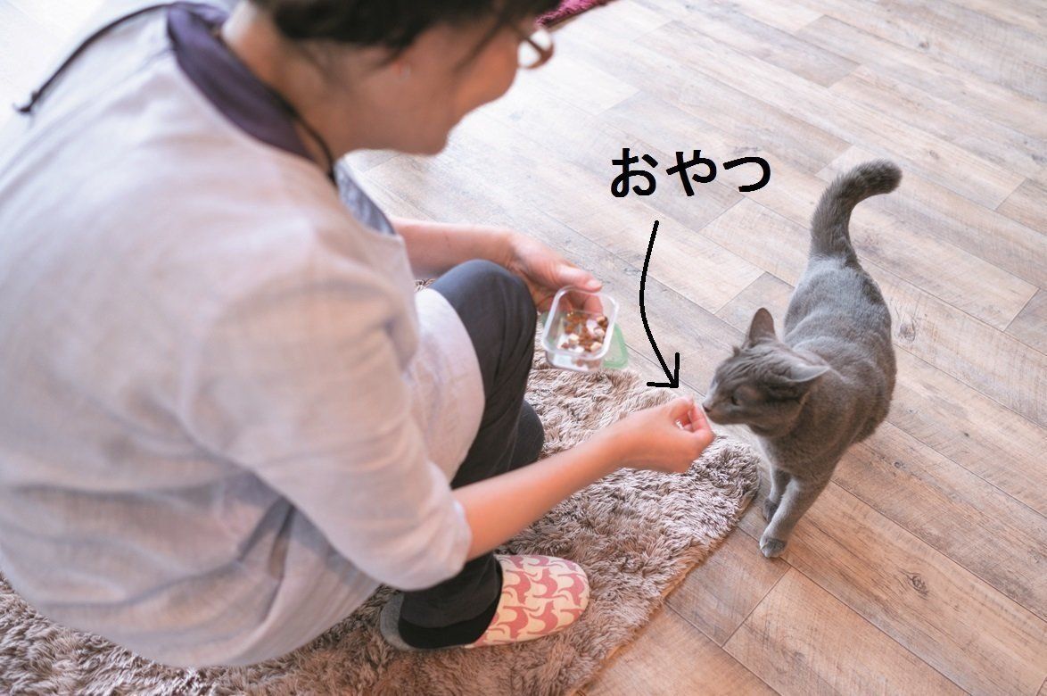 撮影／石原さくら