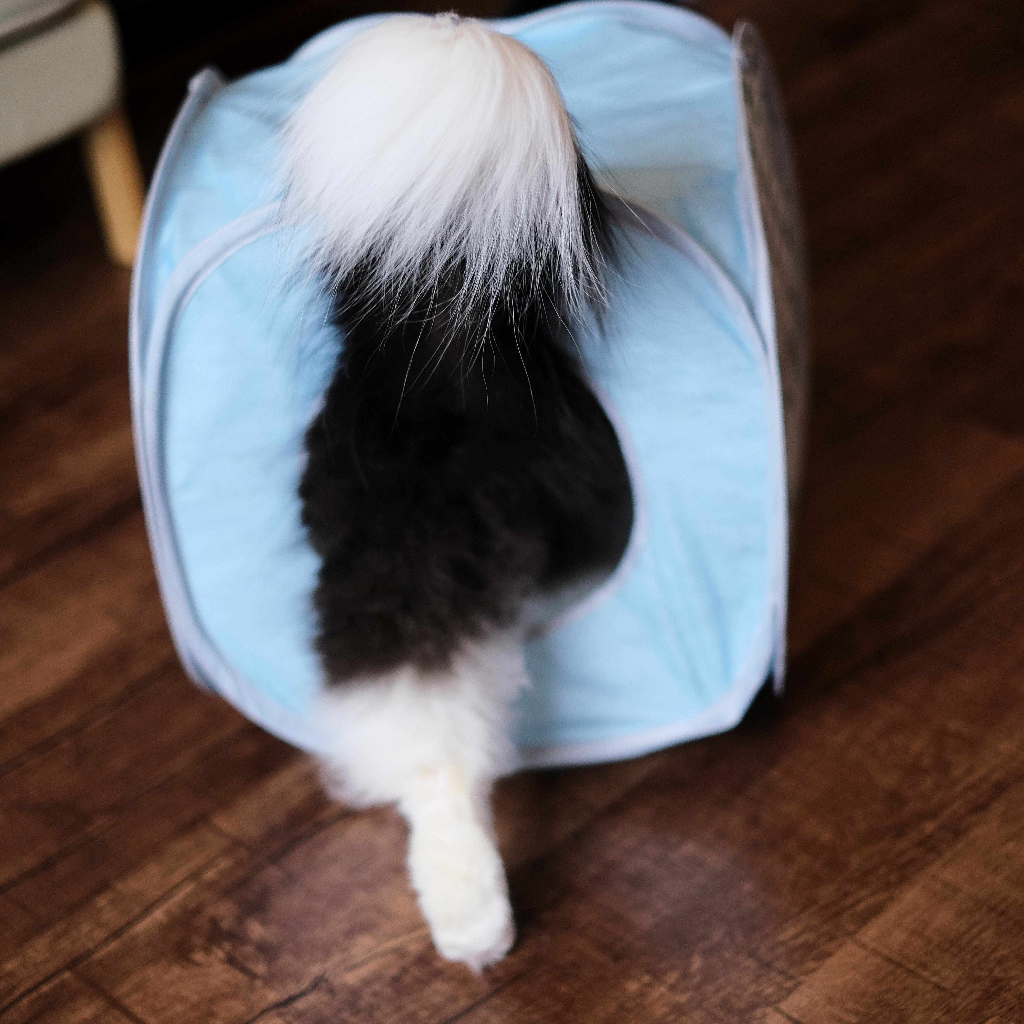 撮影／Akimasa Harada