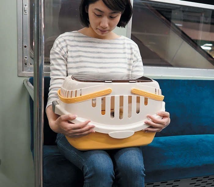 電車では膝の上に抱えるのがベスト