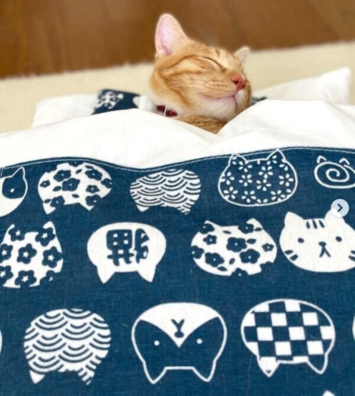 布団の中で気持ちよさそうにスヤスヤ お昼寝する子猫の 寝入る瞬間 が可愛すぎた ねこのきもちweb Magazine 布団の中で気持ちよさそうにスヤスヤ お昼寝する子猫の 寝入る瞬間 が可愛すぎた ねこのきもちweb Magazine