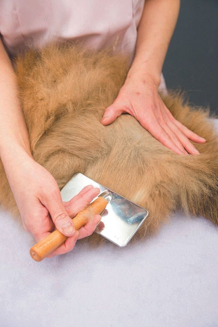 撮影／中川文作