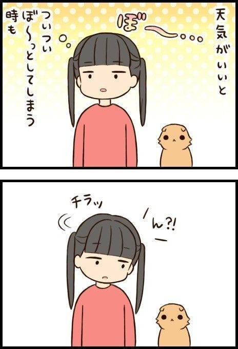 「もふもふスコたん」25話目