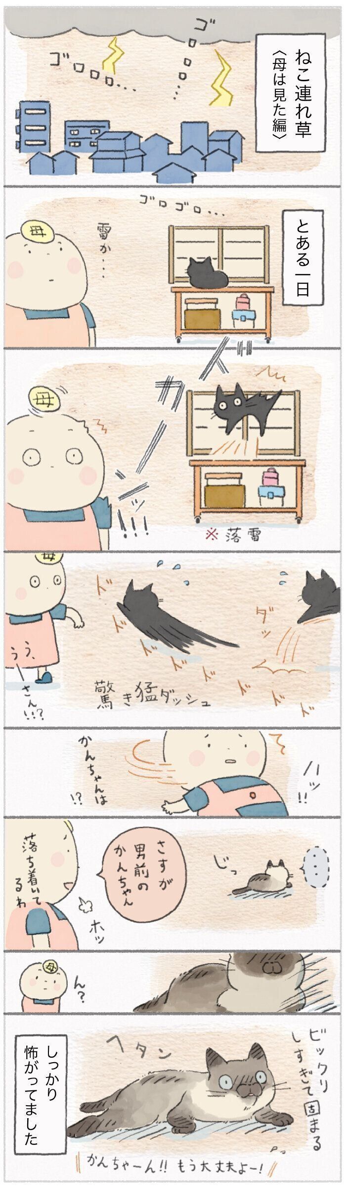 「ねこ連れ草」137話め