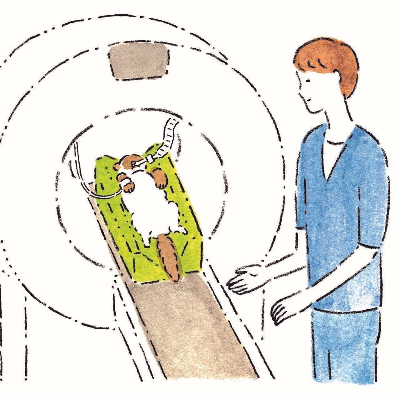 イラスト／みやしたあゆみ