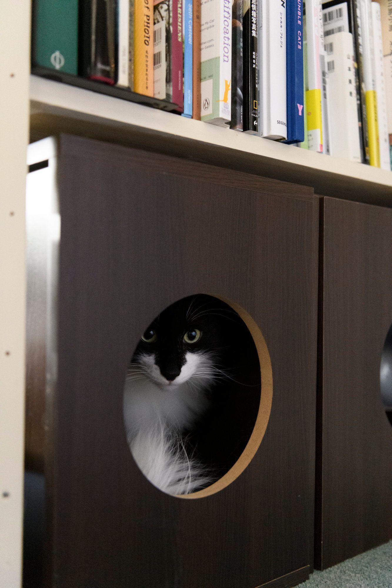 撮影／Akimasa Harada