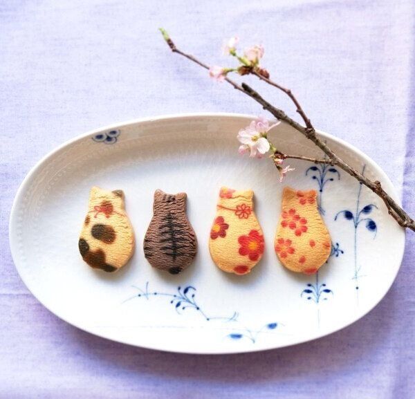 「京都まいこと」の猫さんくっきー