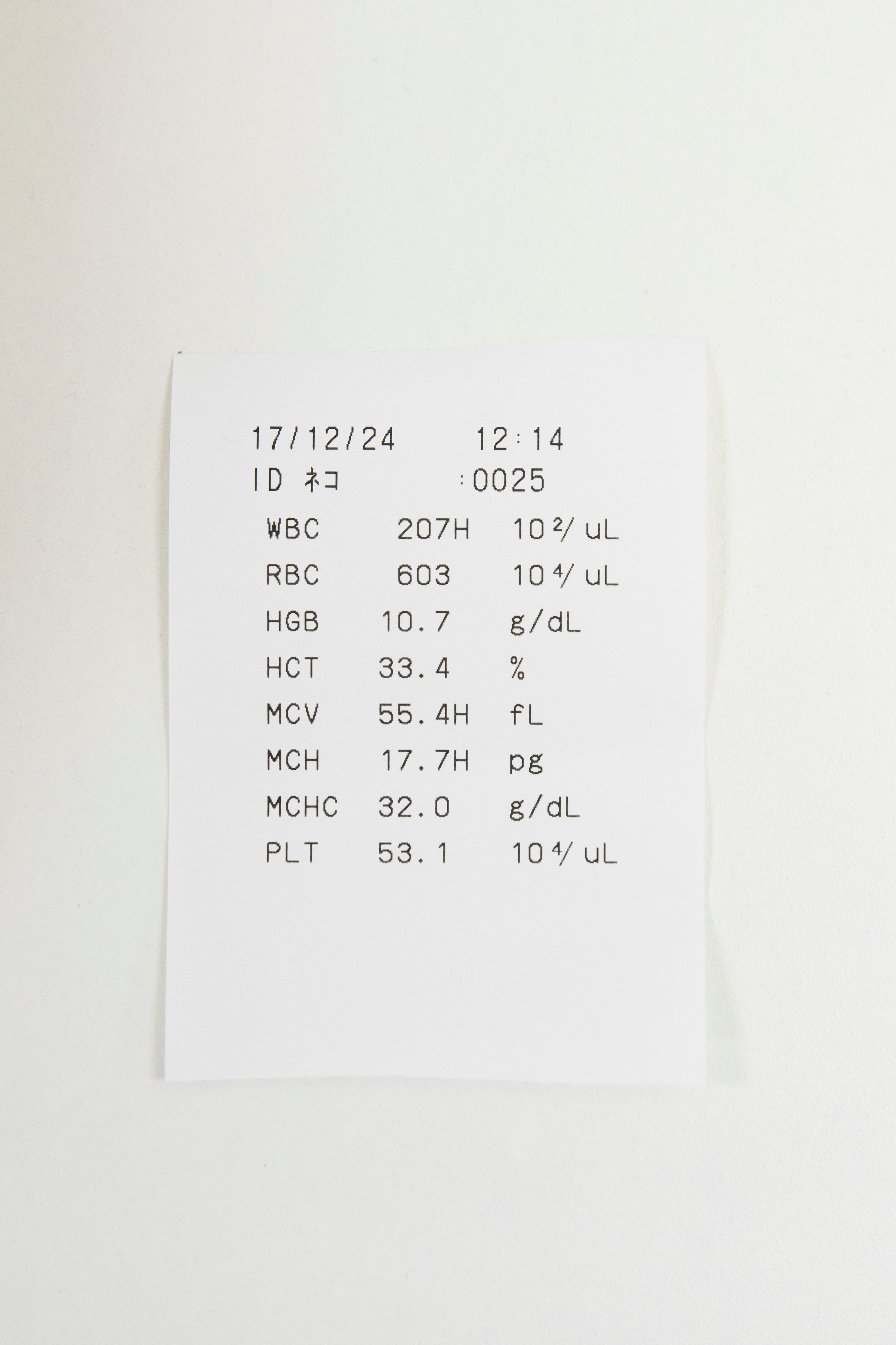 画像／2018年４月号「どうして必要？　結果の見方は？　血液検査がわかる！」