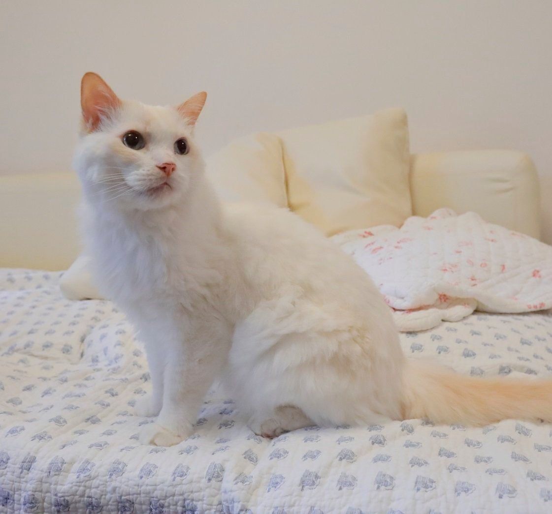 撮影／後藤さくら