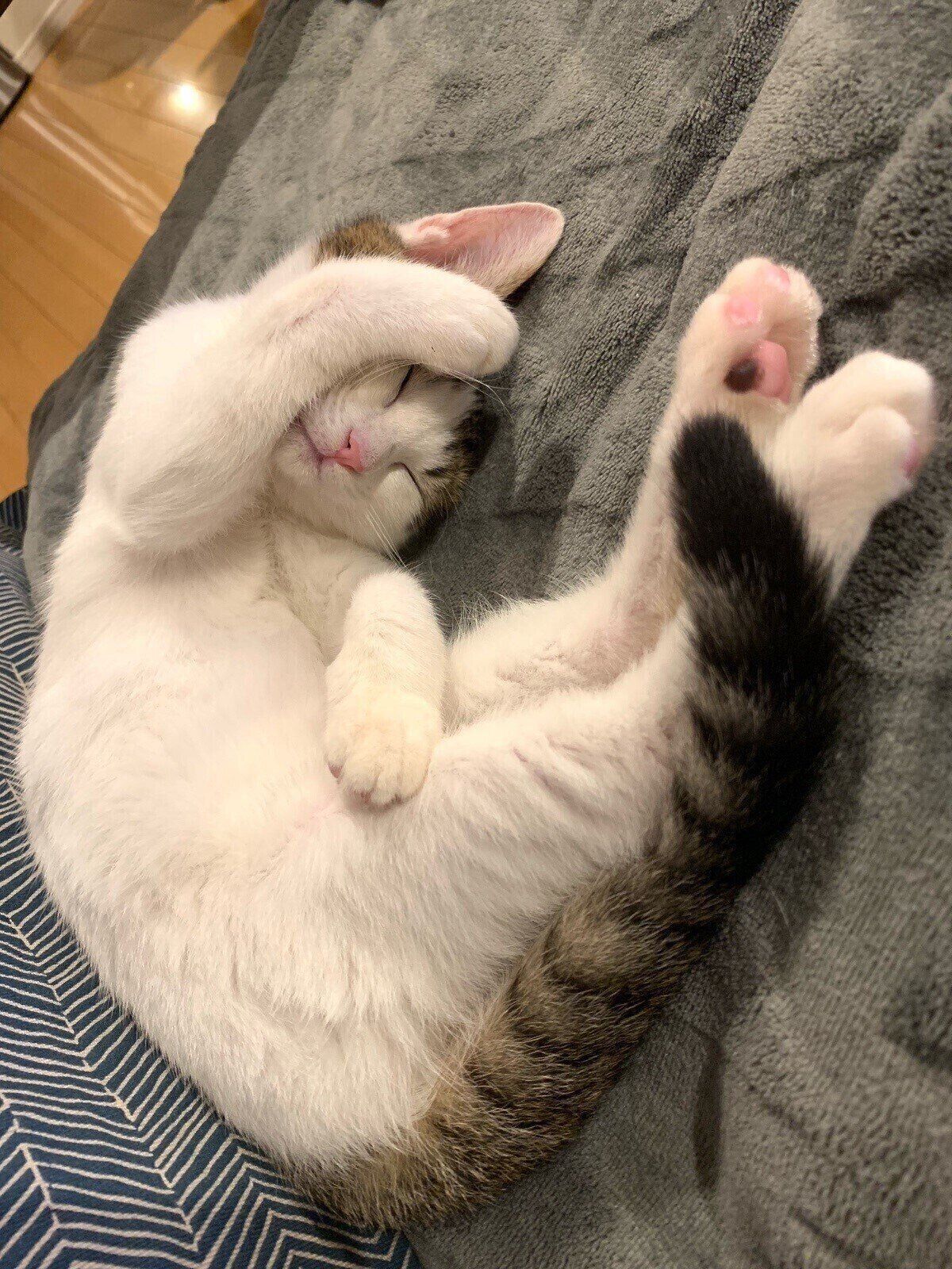 画像／読者提供