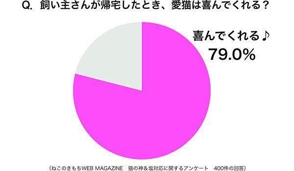グラフ：飼い主さんが帰宅したとき、愛猫は喜んでくれる？