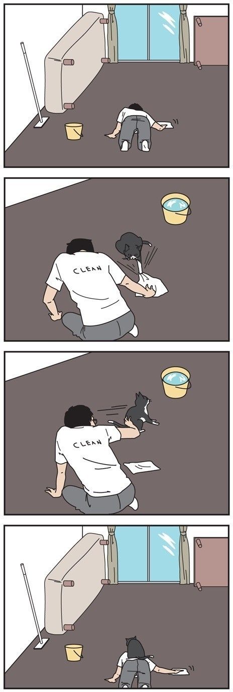 男の猫道 37話目