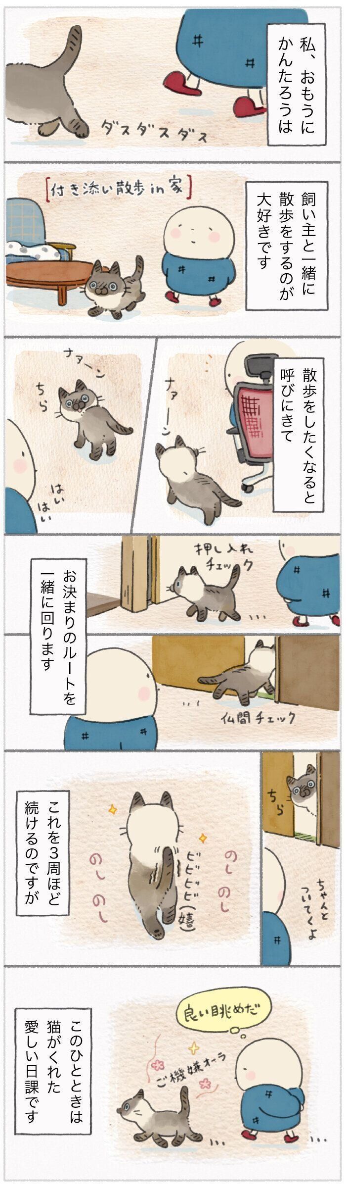 「ねこ連れ草」228話め