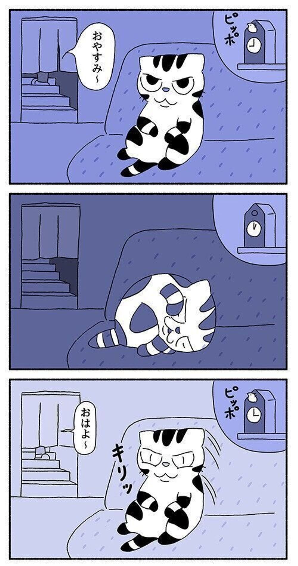 深夜3時のできごと ししまるがペロッとする先 のお話 連載 渋ネコししまるさん 99 ねこのきもちweb Magazine