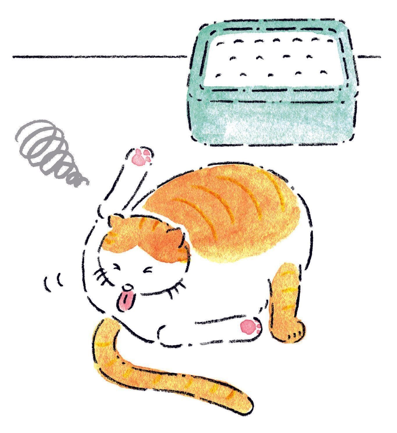 イラスト／みやしたゆみ