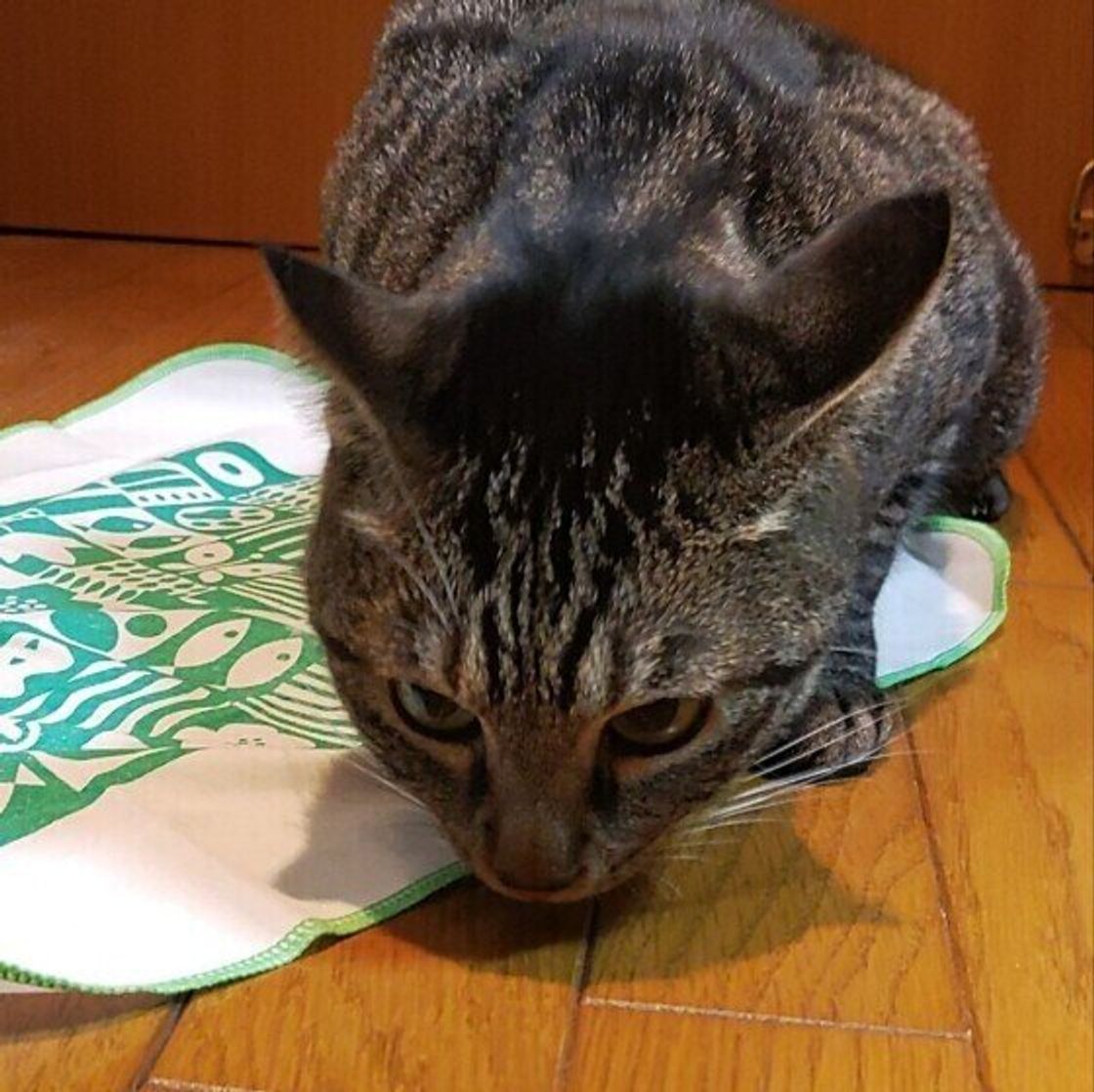 U17vco75j4hoxm U17vco75j4hoxm