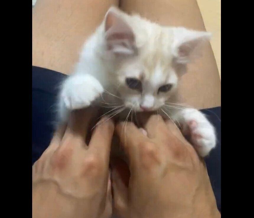 おなかをこちょこちょされるもなかくん