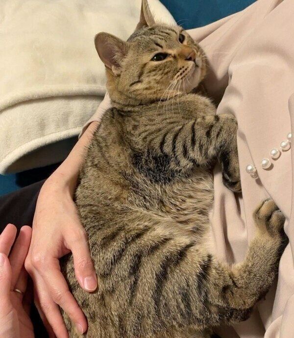 ママさんに抱っこしてもらえて幸せそうなねぎくん