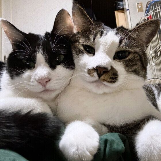 今日も仲よし♪