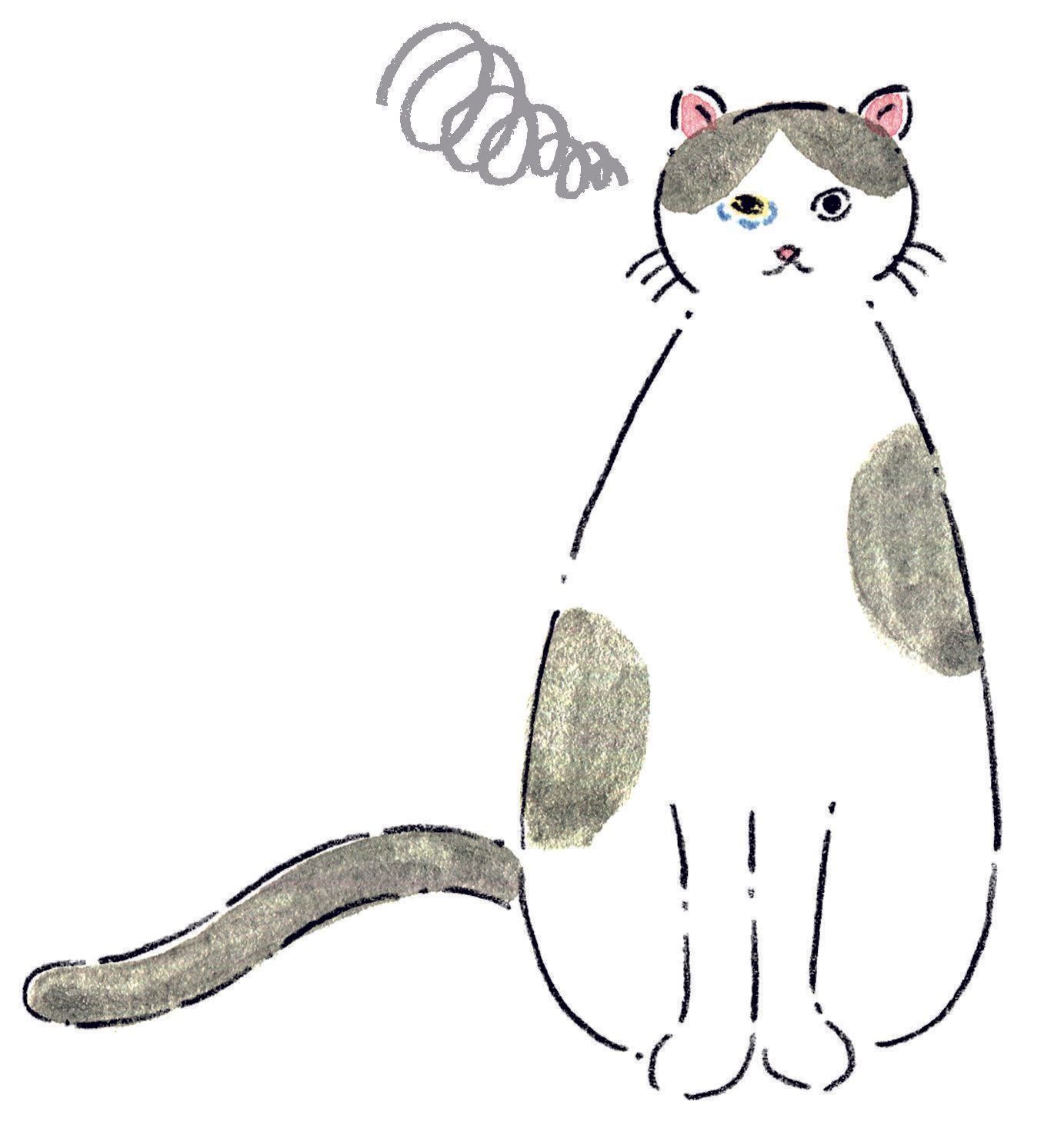 イラスト／みやしたゆみ