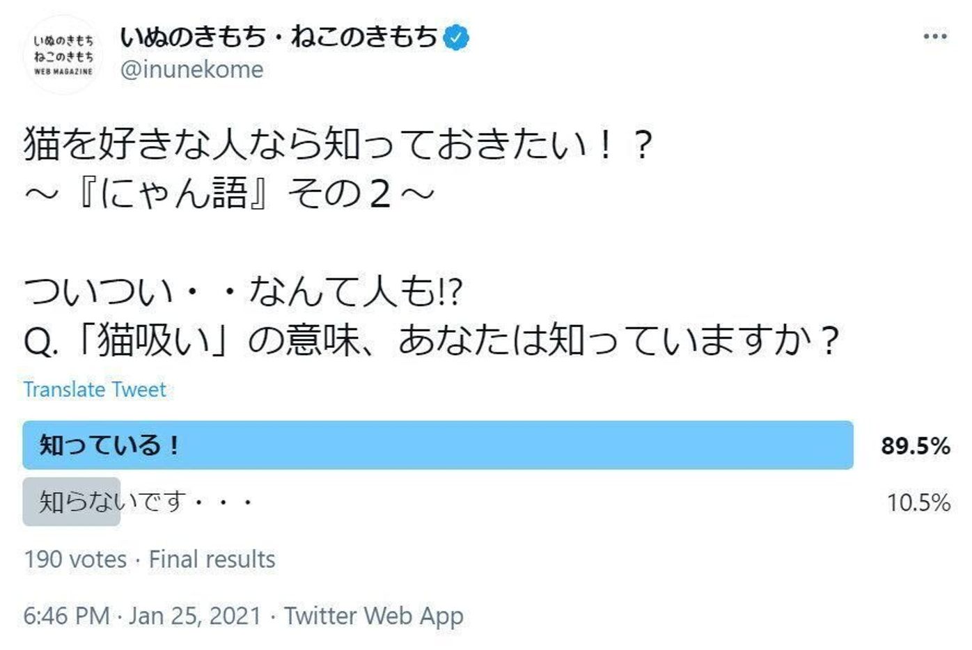 あなたは知っている 思わず顔をうずめたくなる 猫吸い の意味 ねこのきもちweb Magazine あなたは知っている 思わず顔をうずめたくなる 猫吸い の意味 ねこのきもちweb Magazine