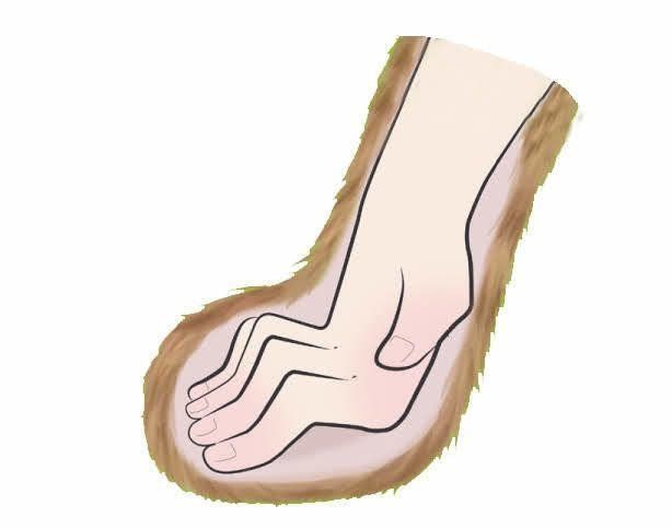 「ねこのきもち」2016年5月号