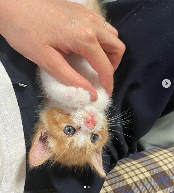 まったりするきゅんくん