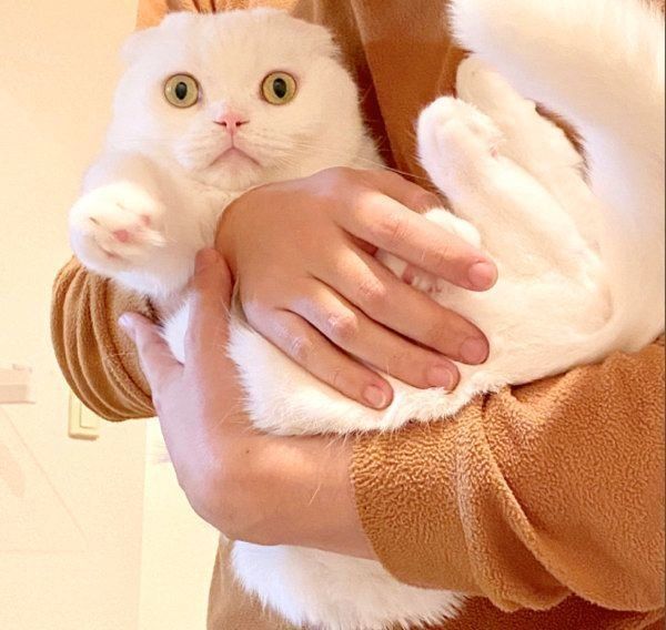 ものすごい目ヂカラで訴えかけるむくちゃん