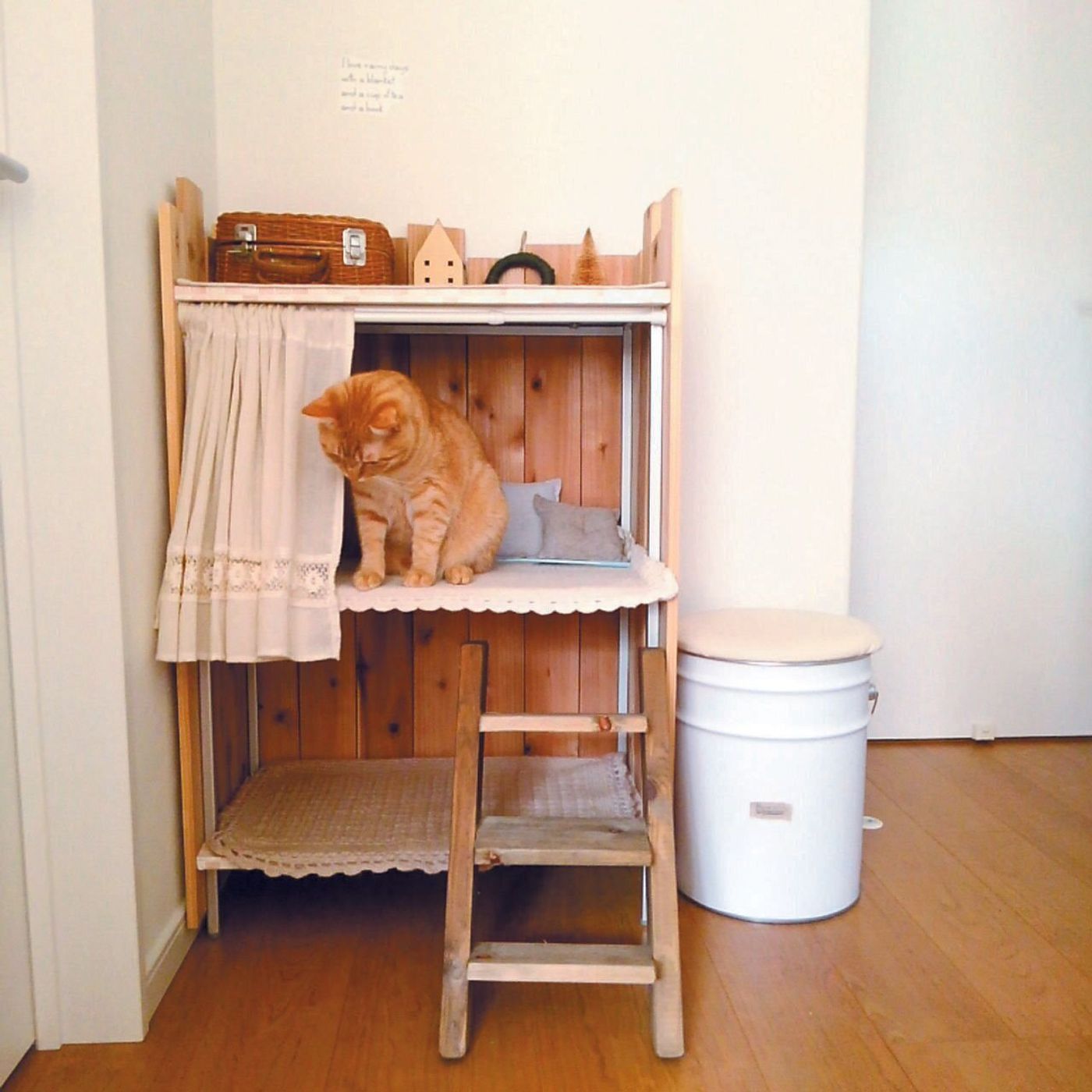 100均アイテムを使って かわいい猫グッズ が作れる 猫愛溢れるdiyのアイデア ねこのきもちweb Magazine 100均アイテムを使って かわいい猫グッズ が作れる 猫愛溢れるdiyのアイデア ねこのきもちweb Magazine
