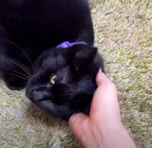 幸せそうなナナちゃん