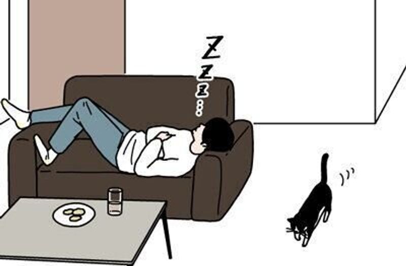 猫のびっくりジャンプ 実はすごい 男の猫道 ねこのきもちweb Magazine限定話 Vol 153 ねこのきもちweb Magazine 猫のびっくりジャンプ 実はすごい 男の猫道 ねこのきもちweb Magazine限定話 Vol 153 ねこのきもちweb Magazine