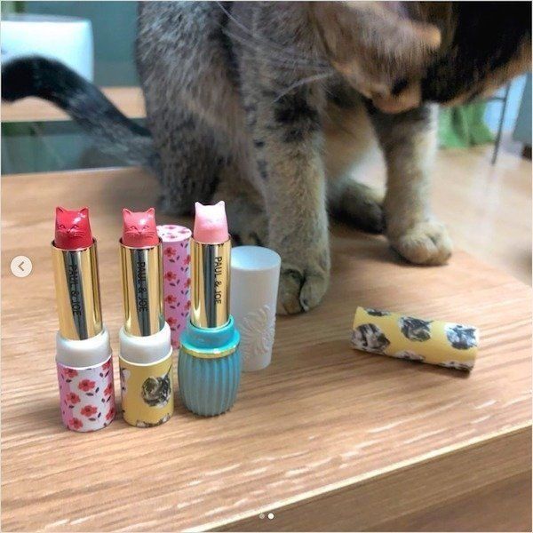 PAUL & JOEの猫コスメ