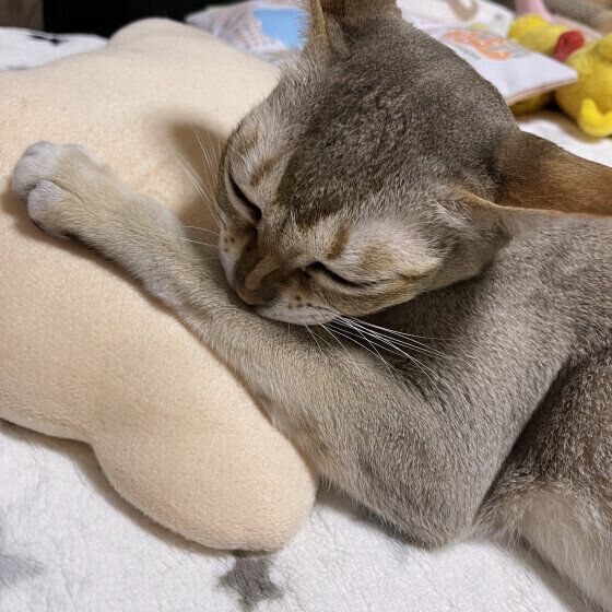 シンガプーラのプップくん♪