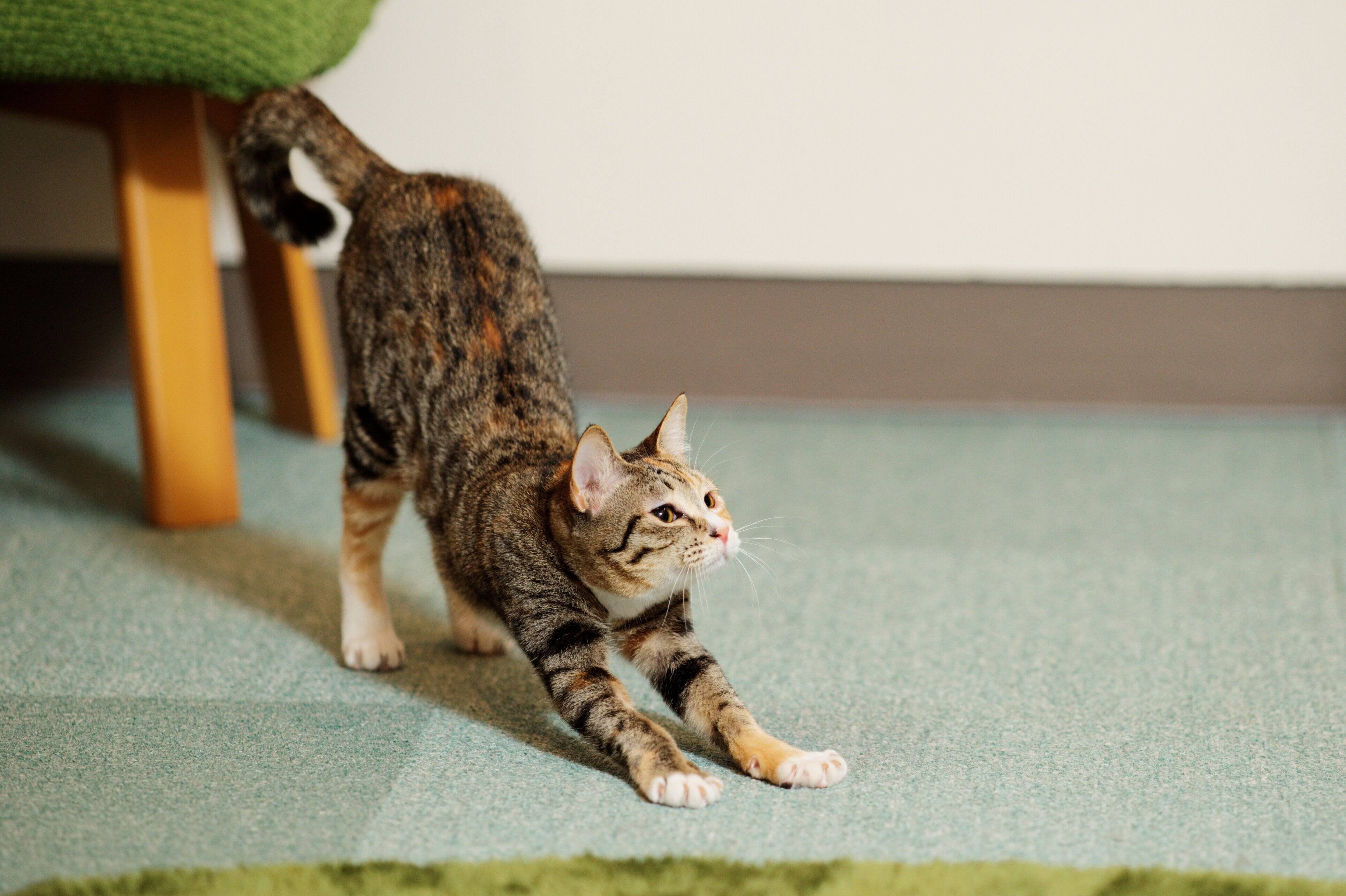 撮影／Akimasa Harada