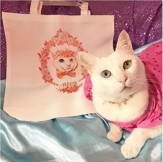 マリーちゃんのオリジナルバッグ