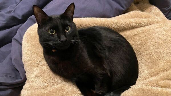 くつろぐトニーくん