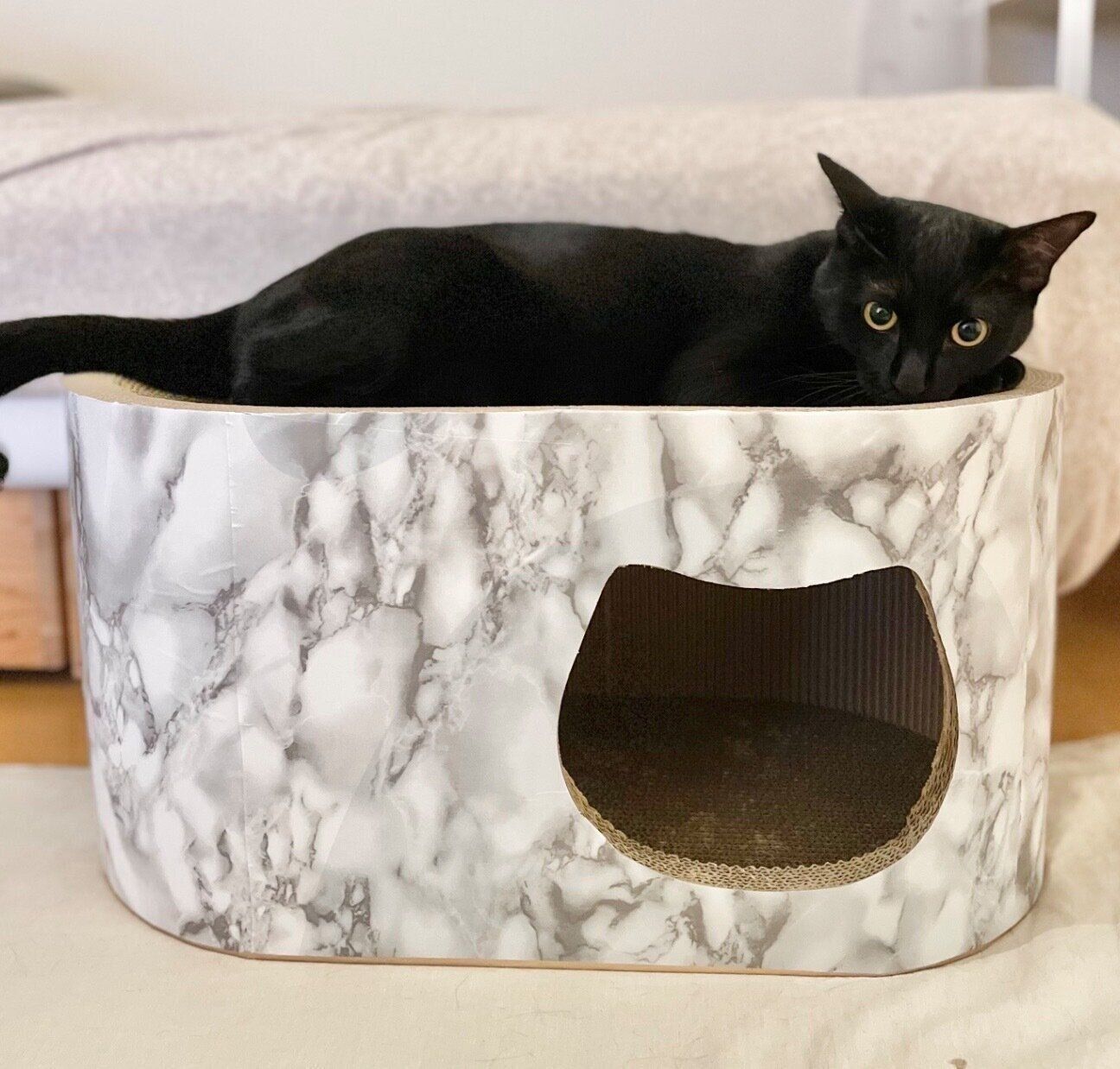 まったりするこぐまくん