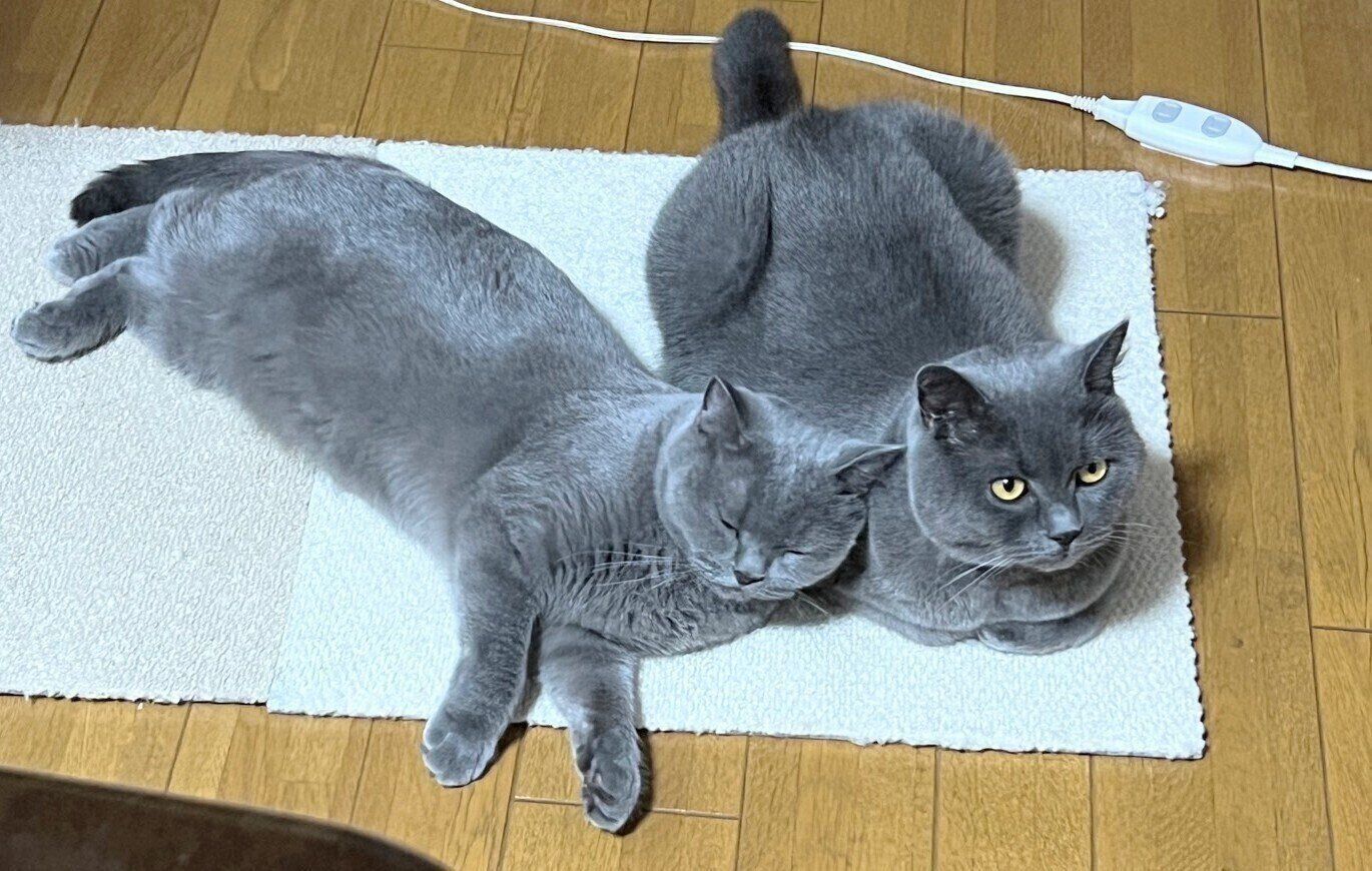 くっつくぶりきちくん、ももちゃん