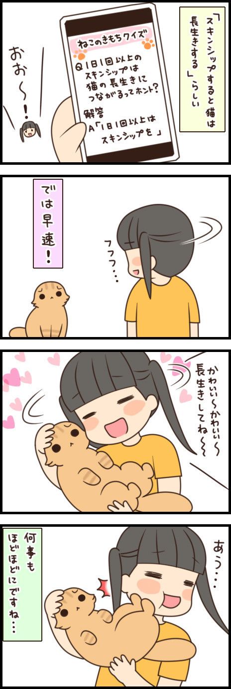 「もふもふスコたん」63話目