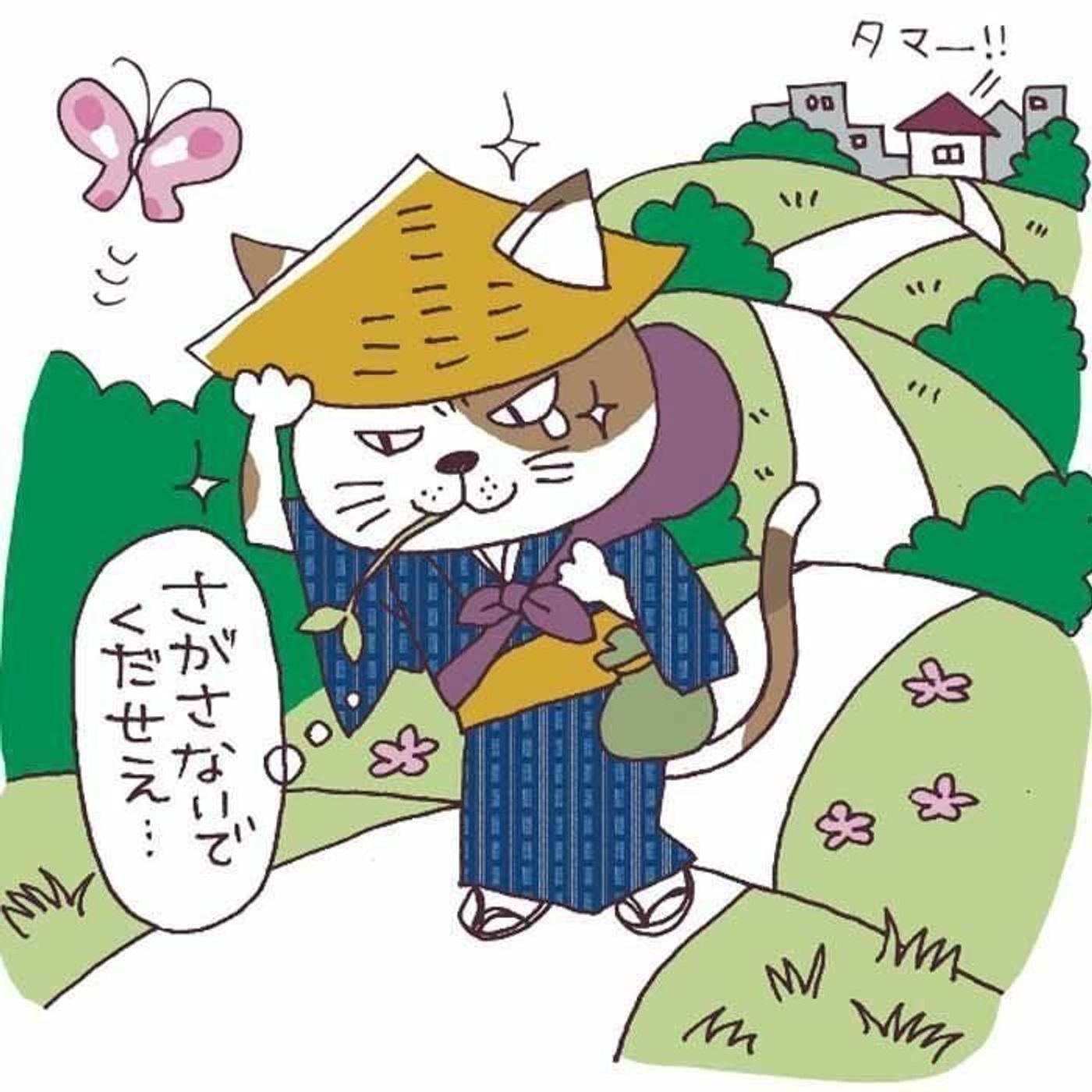 猫はグルメって本当 猫の疑問ウソ ホント ねこのきもちweb Magazine 猫はグルメって本当 猫の疑問ウソ ホント ねこのきもちweb Magazine