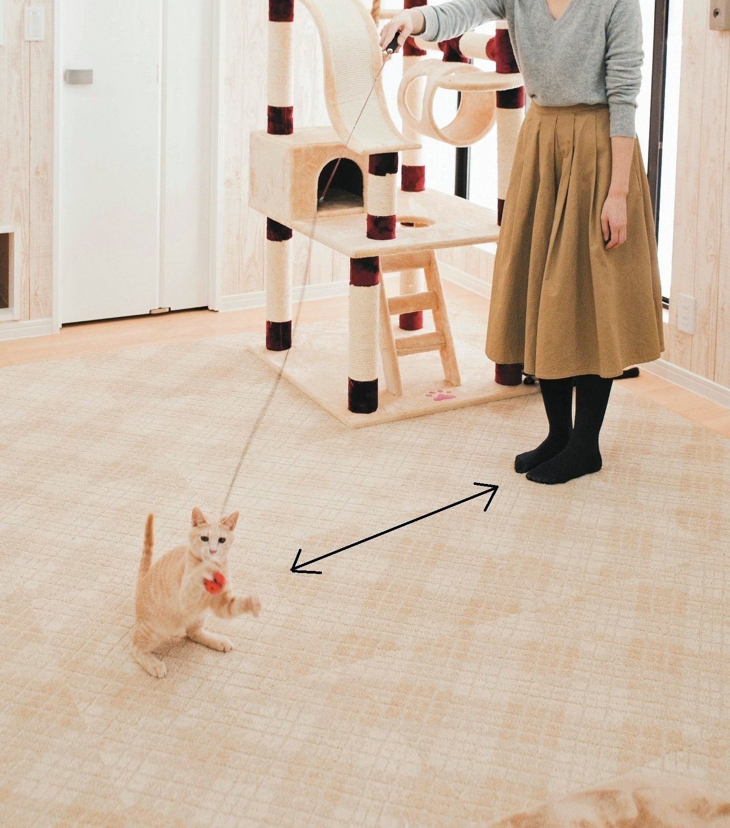 撮影／中川文作