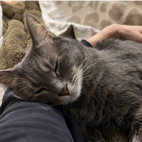 甘えるあずきちゃん