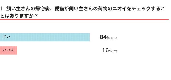 飼い主さんの帰宅後、愛猫が飼い主さんの荷物のニオイをチェックすることはある？