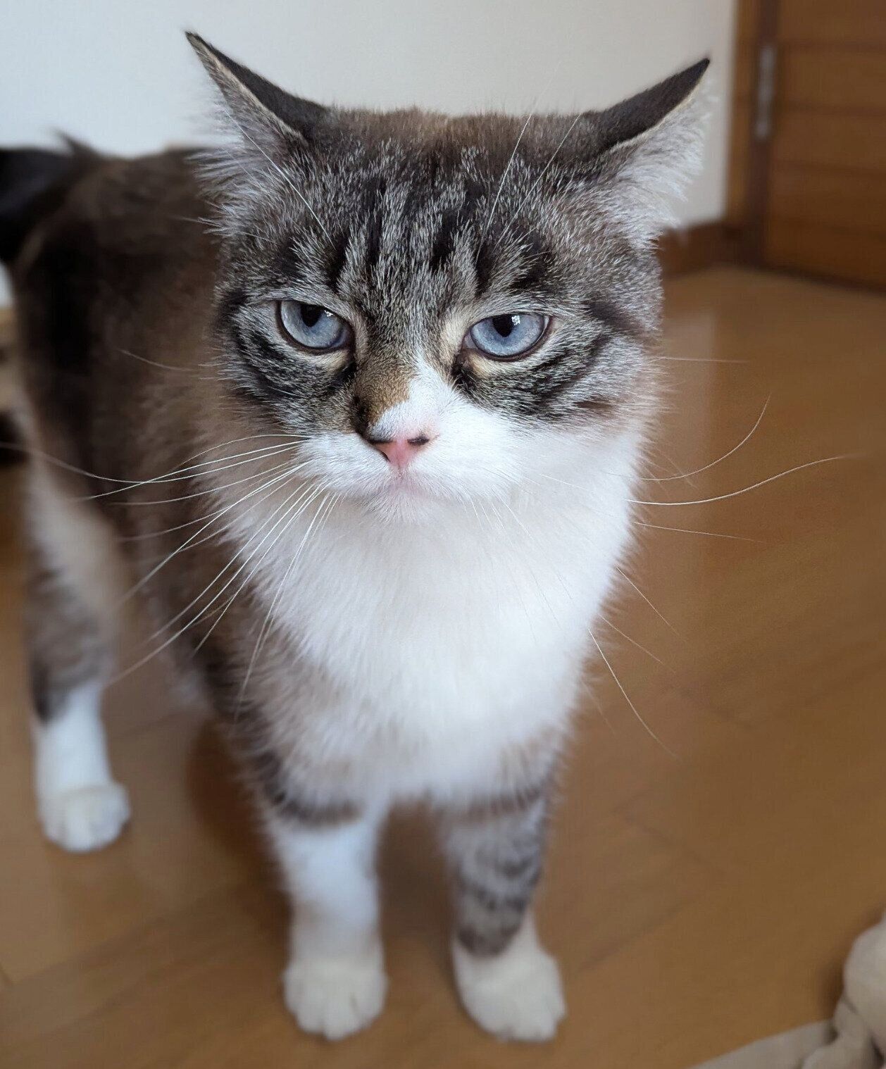 2才のおもちくん