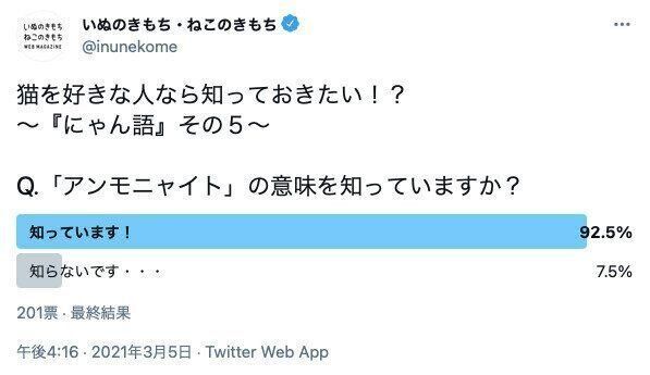 アンモニャイトについてのアンケート結果
