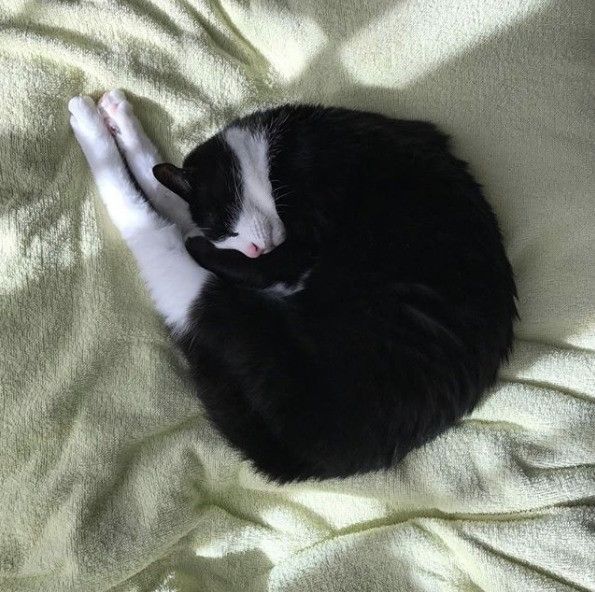 足がピーンと伸びている