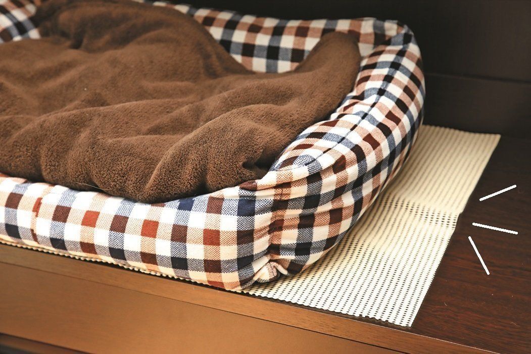 撮影／尾﨑たまき