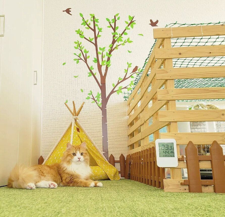 ウサギ小屋に近寄るにこまるくん