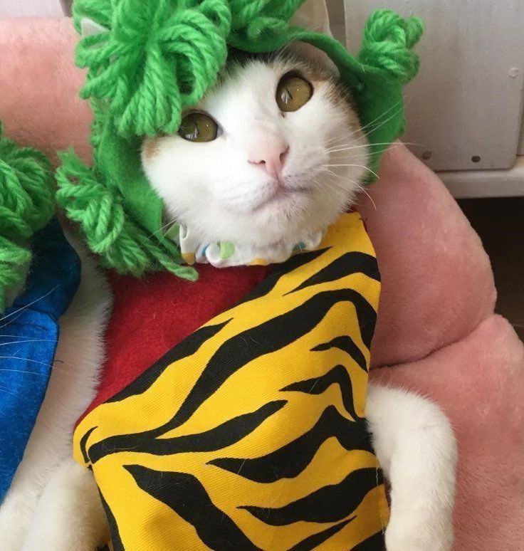 赤鬼みつばちゃん