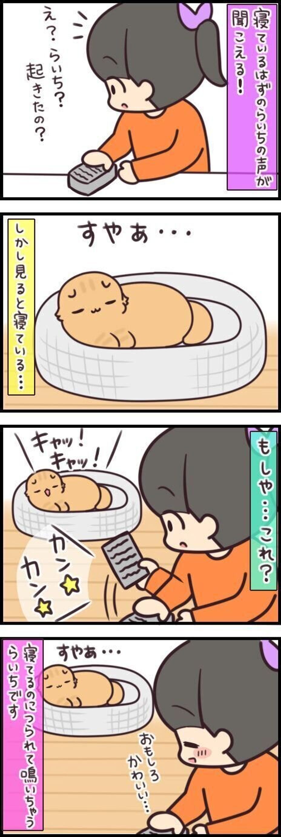 生活音に つられ鳴き する猫 夢の中でも会話してるみたい 連載 もふもふスコたん 197 ねこのきもちweb Magazine 生活音に つられ鳴き する猫 夢の中でも会話してるみたい 連載 もふもふスコたん 197 ねこのきもちweb Magazine